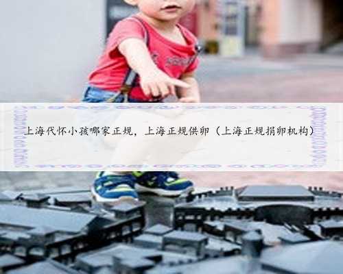 上海代怀小孩哪家正规，上海正规供卵（上海正规捐卵机构）