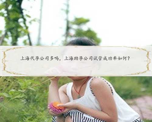 上海代孕公司多吗，上海助孕公司试管成功率如何？