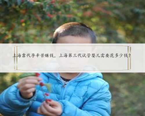 上海靠代孕辛苦赚钱，上海第三代试管婴儿需要花多少钱？